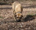 Maerz-April 2009032